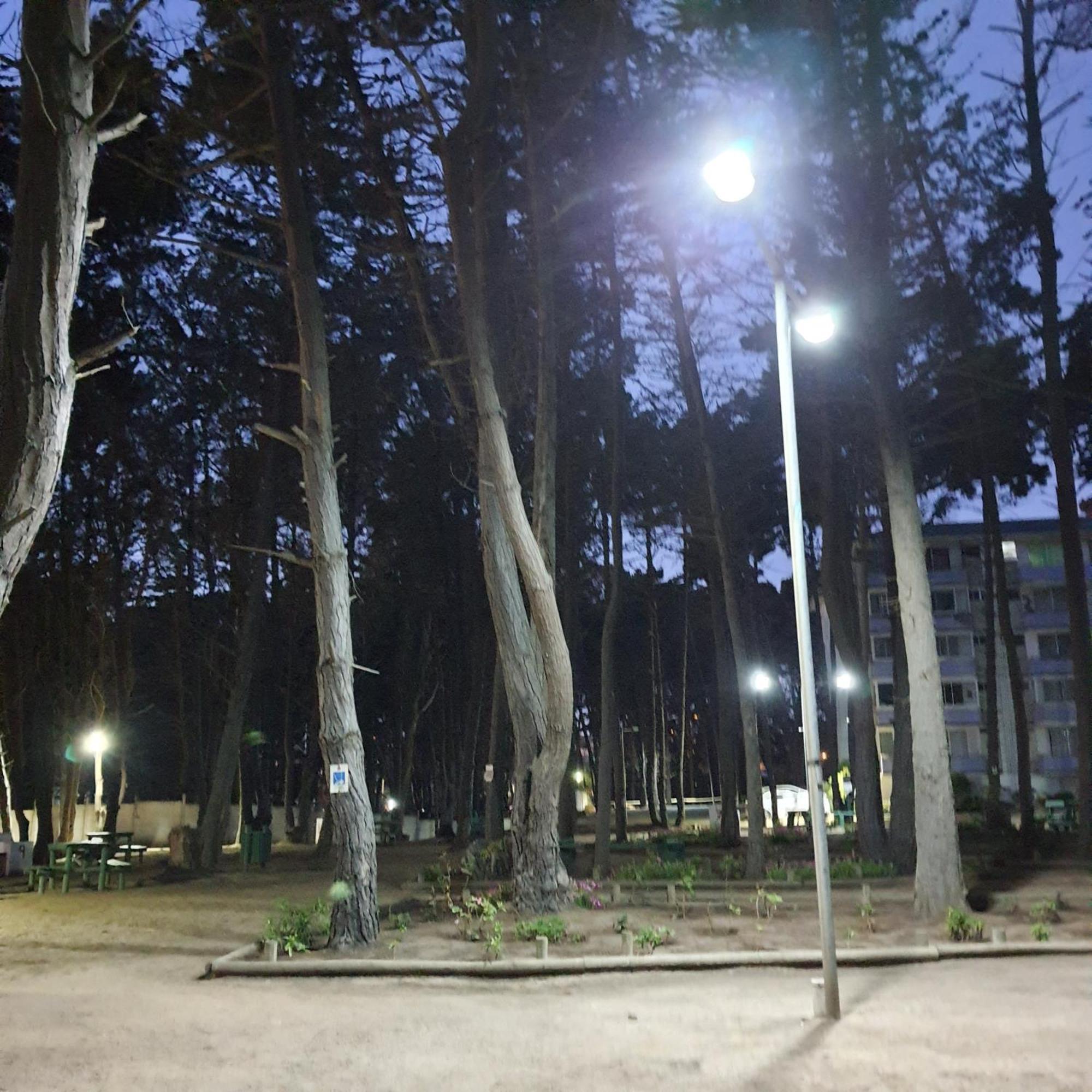 Apartamento Departamento Bosques Del Tabo El Tabo